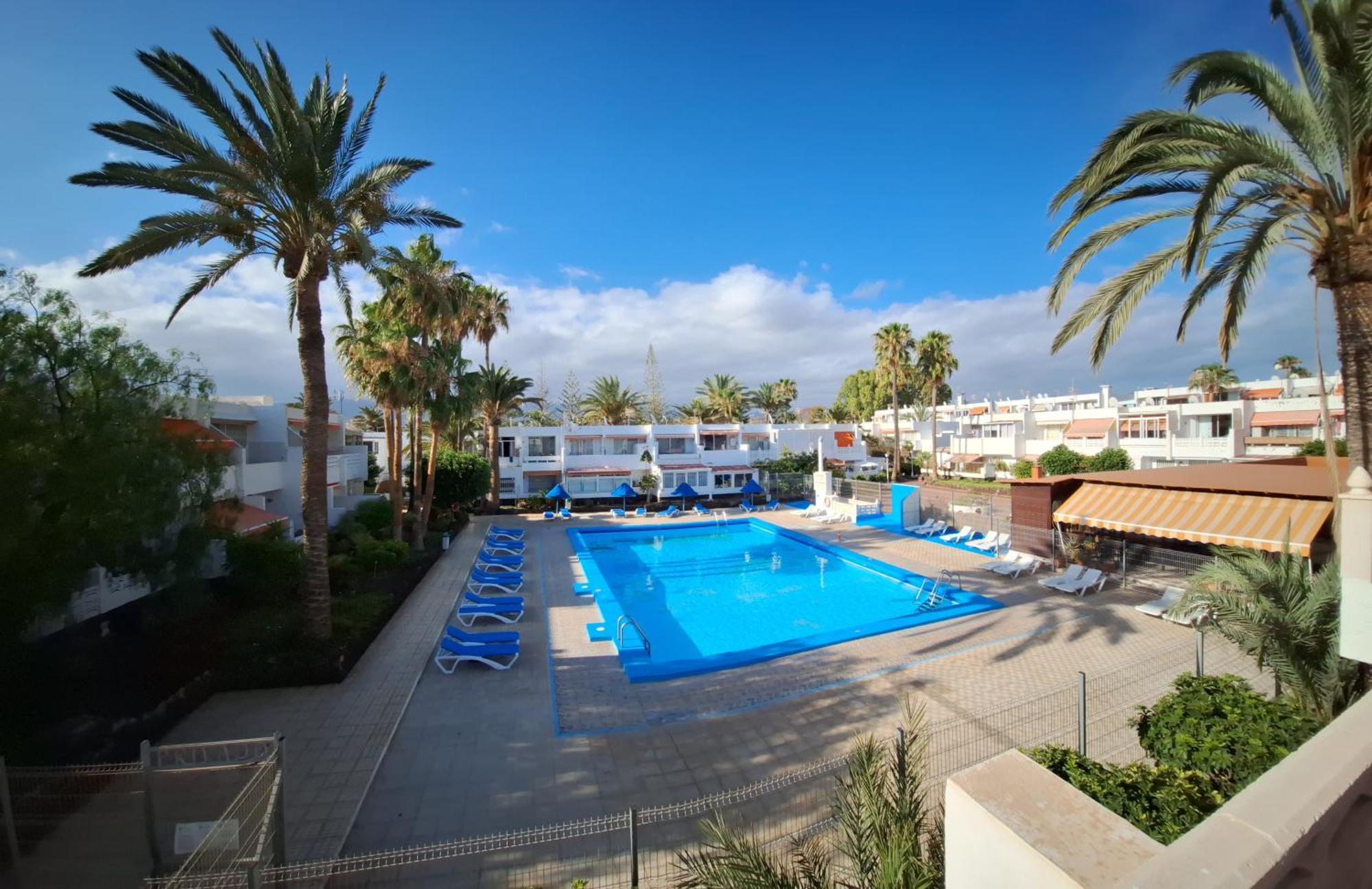 Apartment Amarilla 202